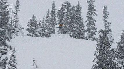 ZZaKy, Games ZZaKy, Games