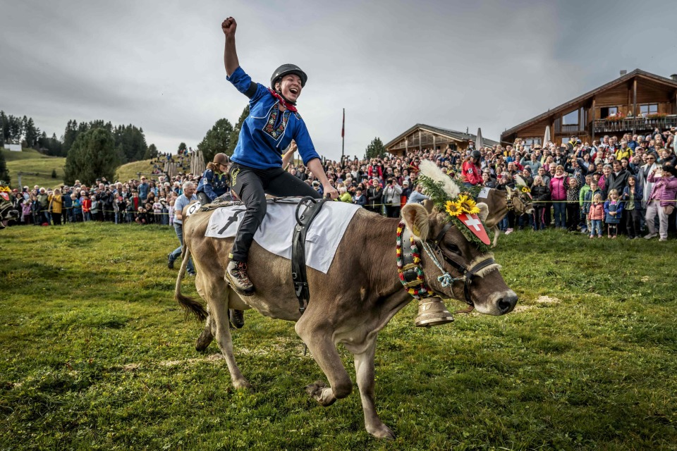 位于瑞士阿 位于瑞士阿
