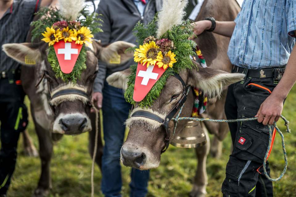 src, 法新, BLYyj src, 法新, BLYyj